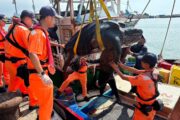 高雄漁船誤補海龜 吊臂協助載往外海平安野放